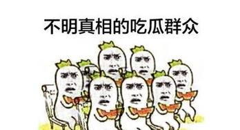 大号吃瓜群众,大号吃瓜群众视角下的娱乐圈风云录