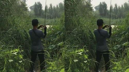 吃瓜动作在哪获得,揭秘“吃瓜群众”的神秘动作起源
