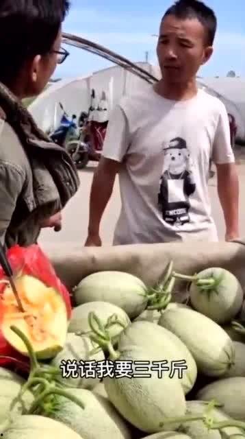 吃瓜要收费,揭秘瓜农收费背后的真相