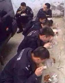 张警官吃瓜群,揭秘警界内部趣闻轶事