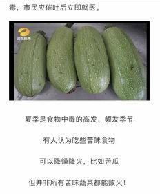 湖南吃瓜,探寻湘菜中的“瓜界传奇”