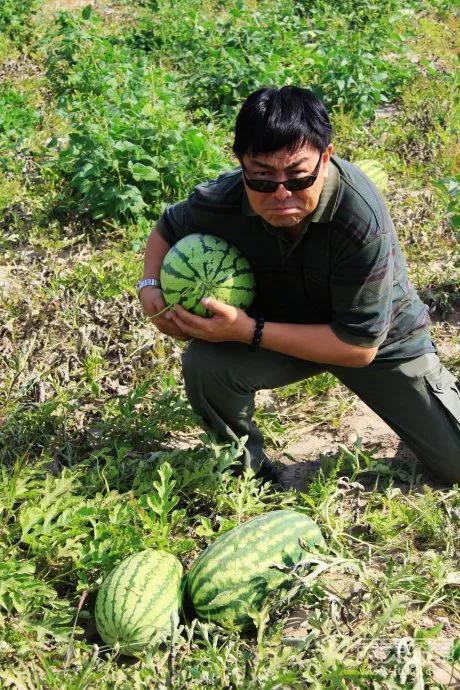 女人梦见偷瓜摘瓜吃瓜,女性梦境中的偷瓜摘瓜吃瓜之谜