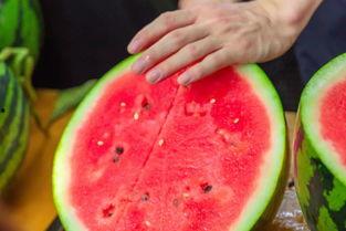 海南大学 吃瓜,趣味横生的校园生活剪影