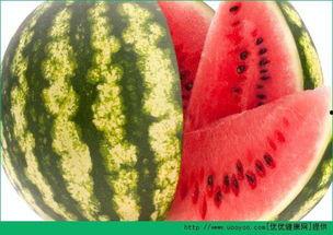 不老瓜怎么吃才好吃,解锁最佳食用秘诀