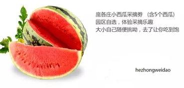 吃瓜群众的瓜有什么味道,揭秘吃瓜群众的味蕾盛宴