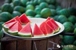 吃西瓜养瓜,从吃瓜到养瓜的奇妙旅程